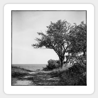 Beach view  towards the Baltic Sea. Sticker